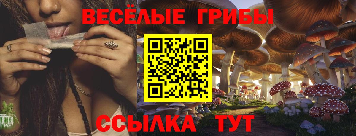 Галлюциногенные грибы мухоморы Бирск